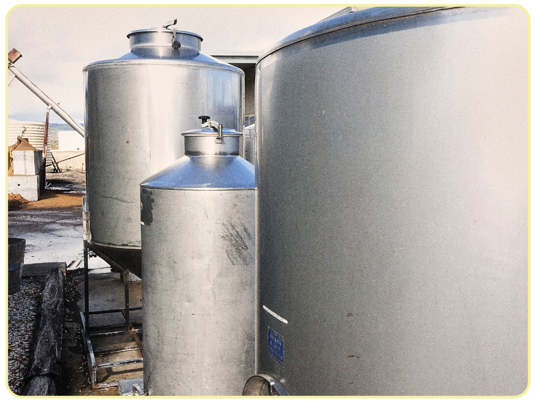 Essential Tips for Keeping Your Olive Oil Fresh