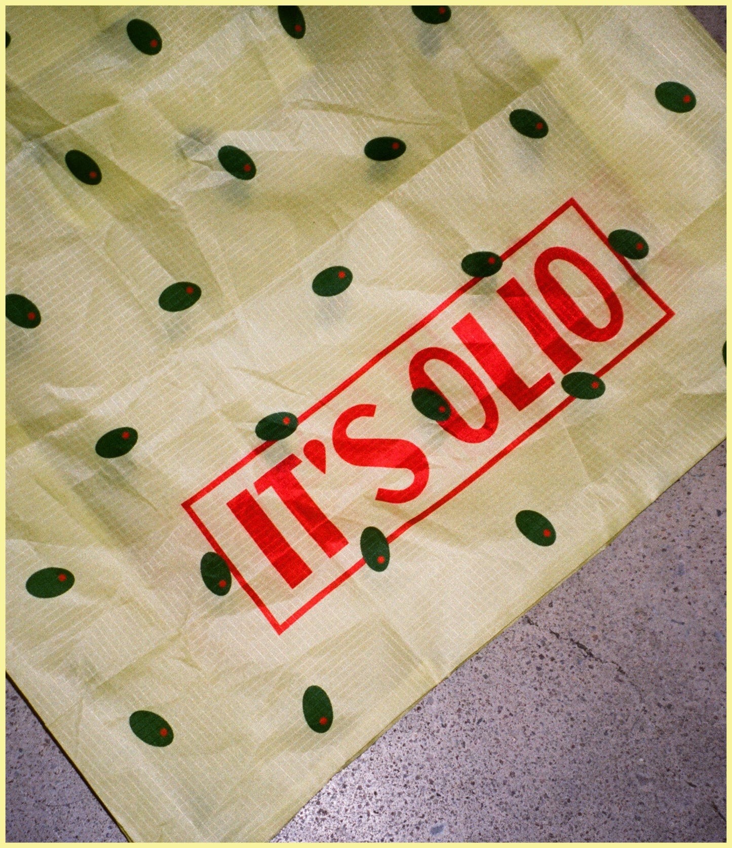 Reusable Grocery Bag