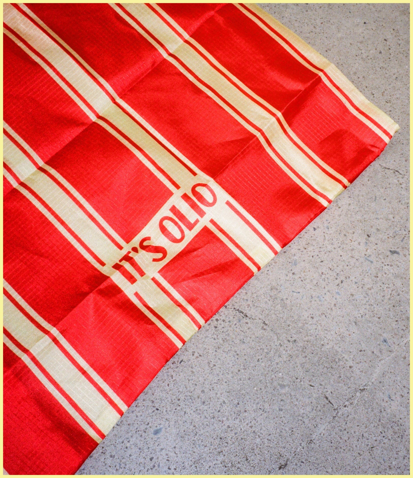 Reusable Grocery Bag