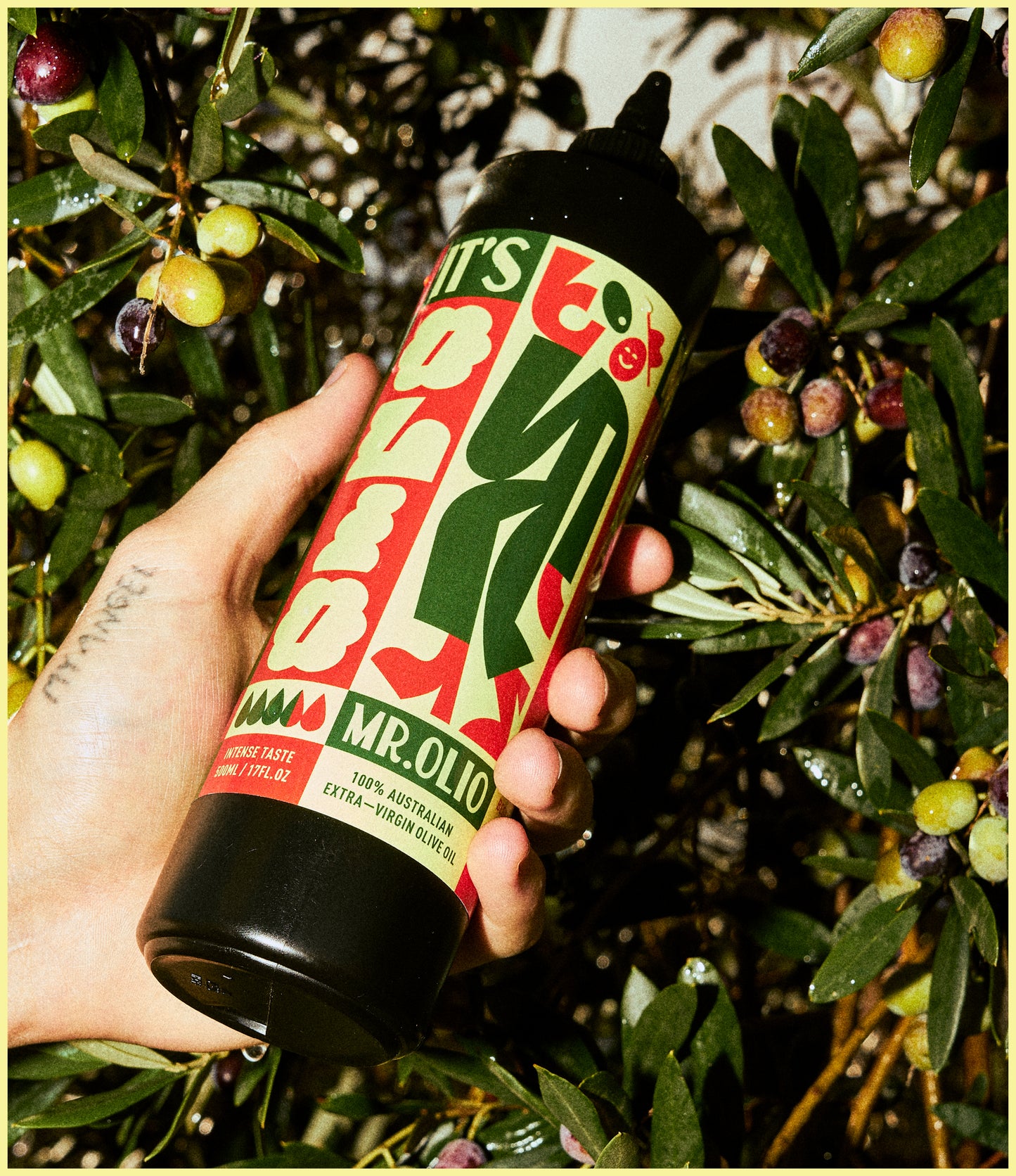 MR. OLIO - Extra Virgin Olive Oil
