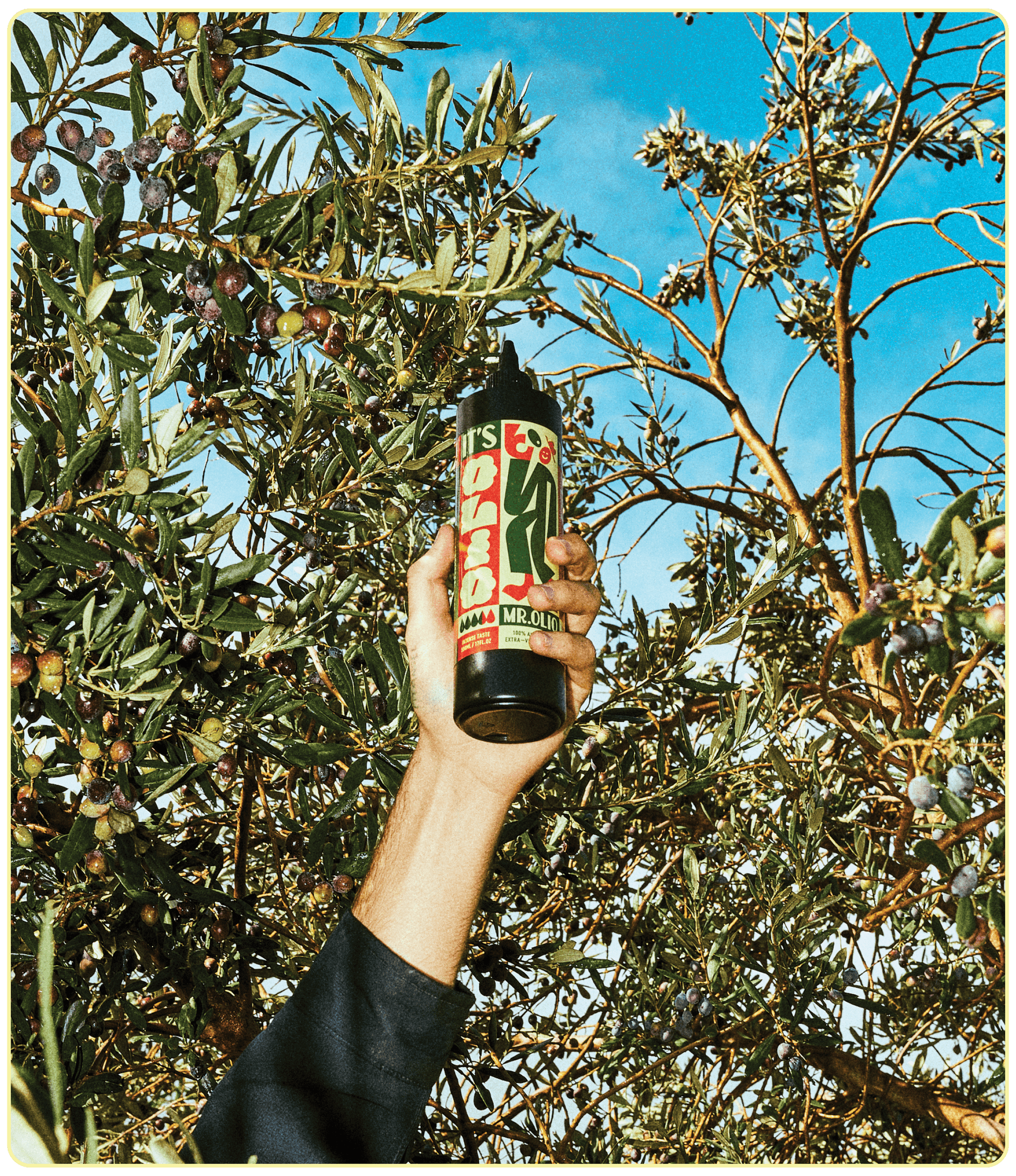 South Australian Handpicked Extra Virgin olive oil. Organic & fresh from the McLaren Vale. Experience Delicious taste from a squeezable bottle.